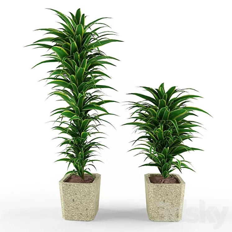 plant 3D Model - 3DSKY Decor Helper