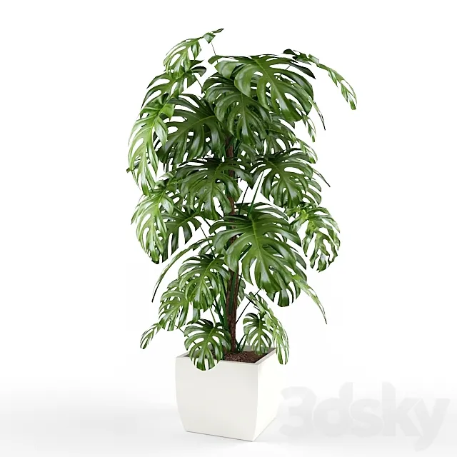 plant 3D Model plant 3D Model