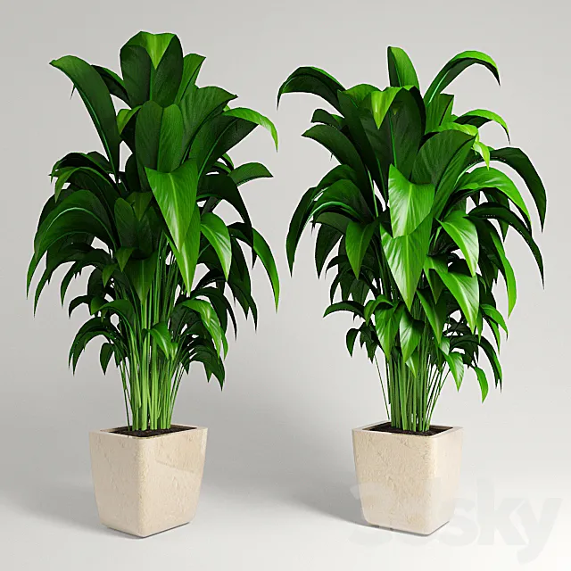 plant 3D Model plant 3D Model