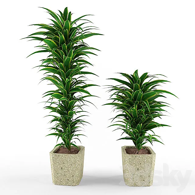 plant 3DModel plant 3DModel