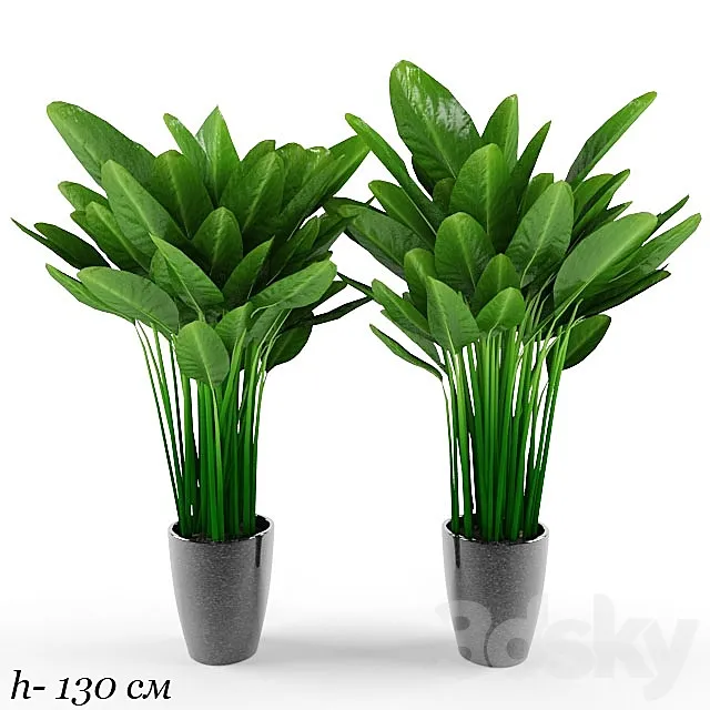plant 3DModel plant 3DModel