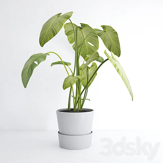 plant 3DModel plant 3DModel