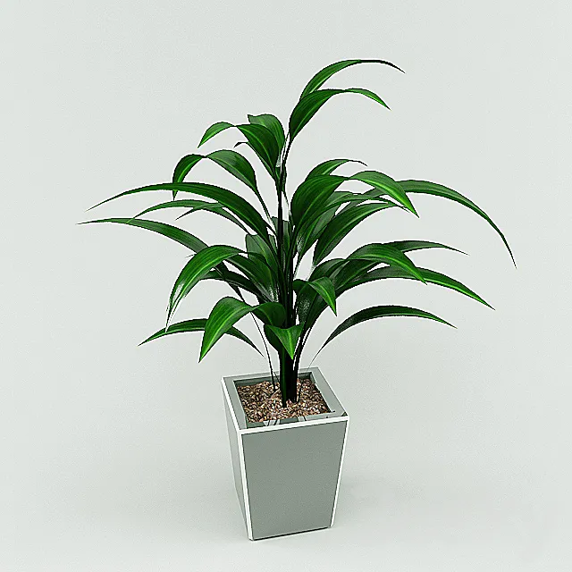 plant 3DModel plant 3DModel