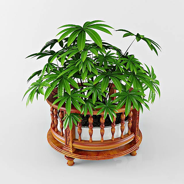 plant 3DModel plant 3DModel