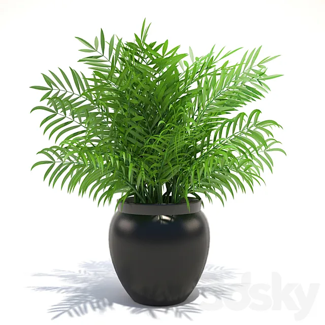 Plant 3DModel Plant 3DModel