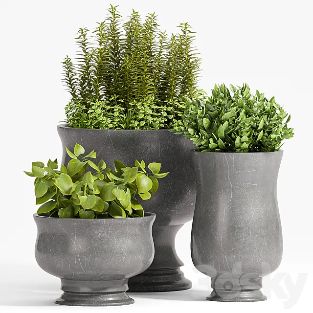 PLANT -45 3DModel PLANT -45 3DModel