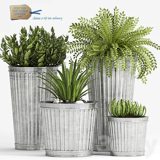 PLANT-49 3D Model PLANT-49 3D Model