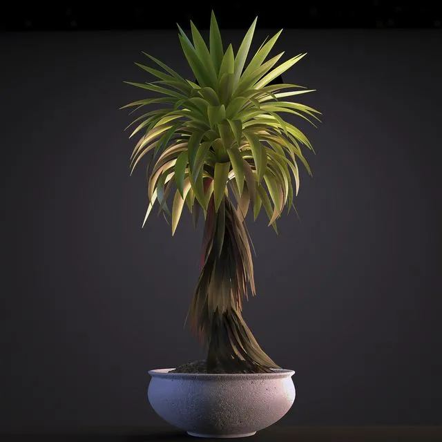 PLANT 5 3D Model