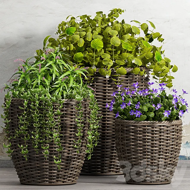 PLANT -51 3DModel PLANT -51 3DModel