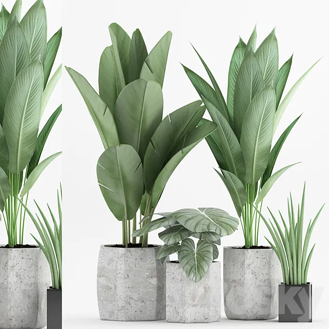 Plant 70 3dmodel - 3dsky Decor Helper