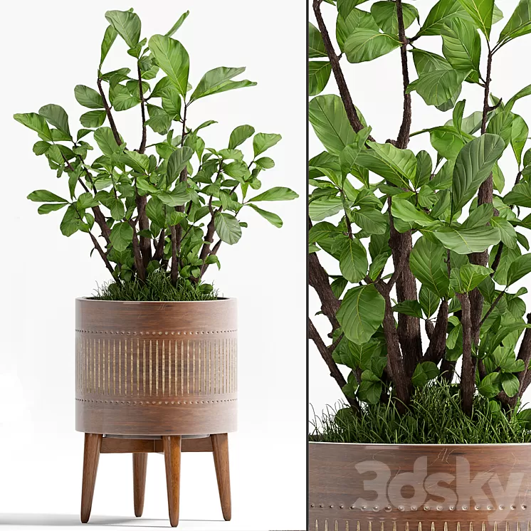 PLANT – 71 3D Model PLANT – 71 3D Model