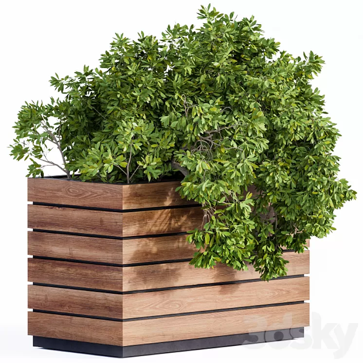 Plant Box Green & Wood 3D Model