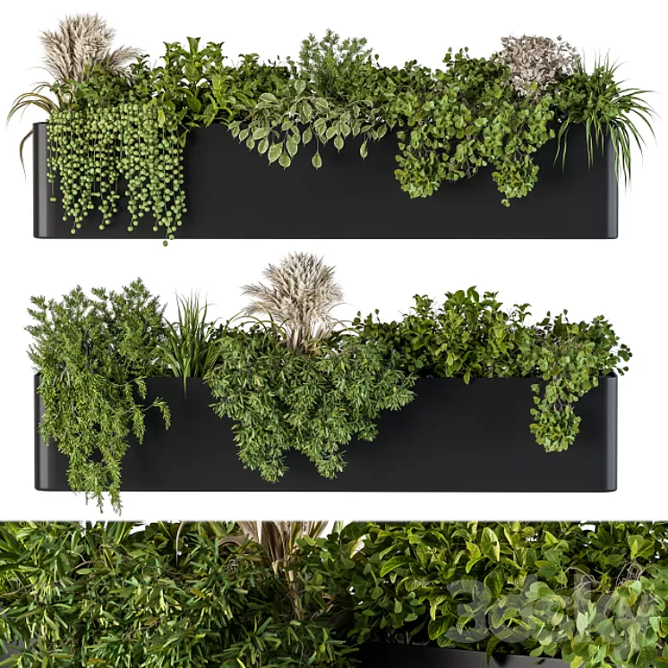 Plant Box on Wall 04 3D Model Plant Box on Wall 04 3D Model