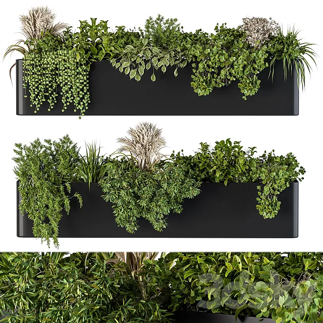 Plant Box on Wall 04 3DModel