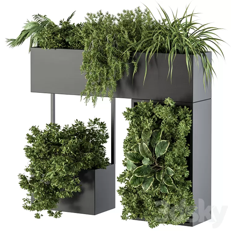 Plant Box on wall – indoor Plants 300 3D Model