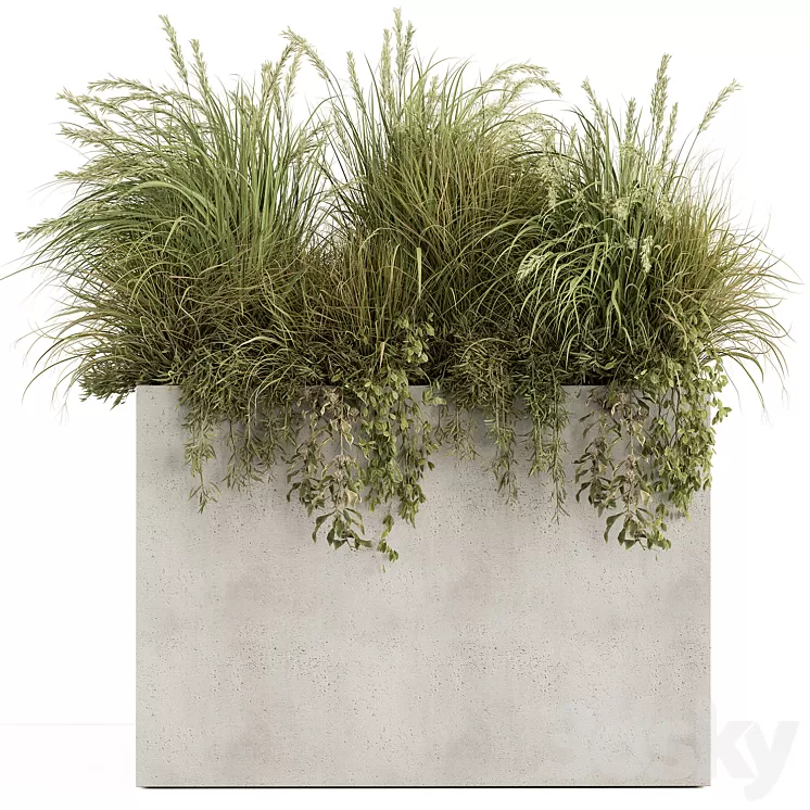 Plant Box – Outdoor Plants 480 3D Model Free Download