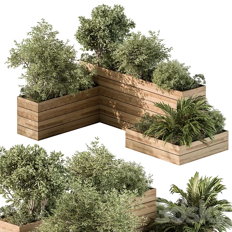 Plant Box – Outdoor Plants 487 3D Model Free Download