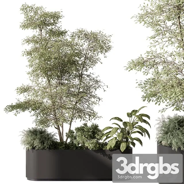 Plant Box Outdoor Plants 515 3D Model Download