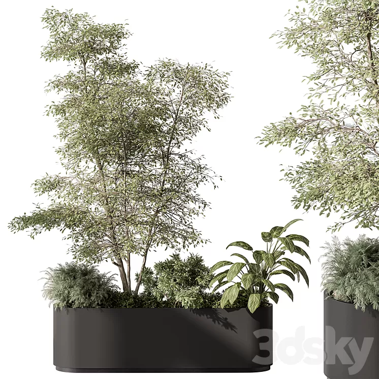 Plant Box – Outdoor Plants 515 3D Model Free Download