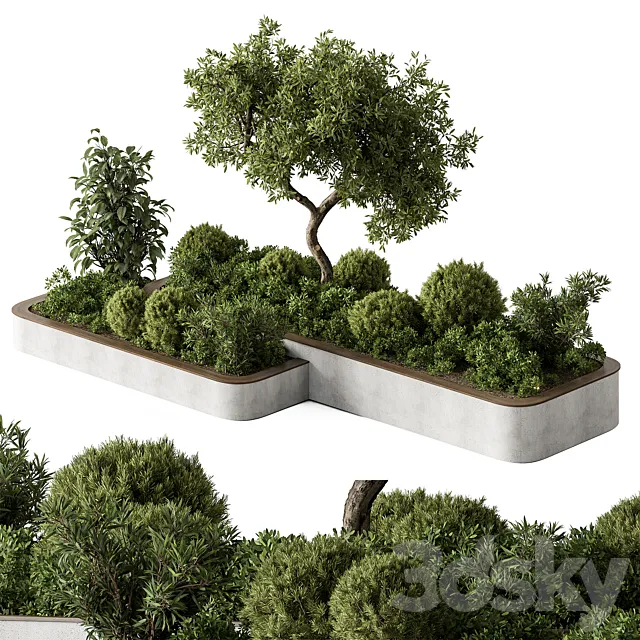 Plant Box – Outdoor Plants 588 3D Model