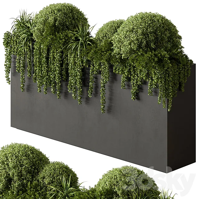 Plant Box – Outdoor Plants 603 3D Model