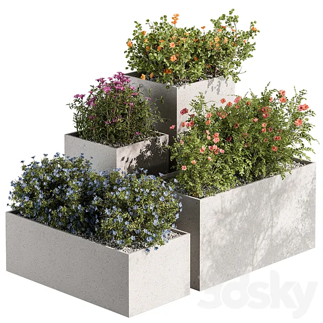 Plant Box – Outdoor Plants Flowers 534 3D Model