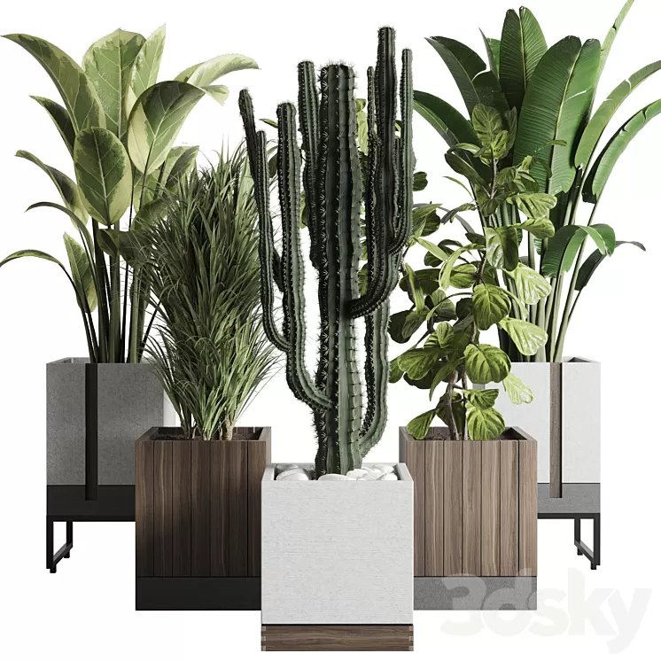 Plant box_Indoor outdoor plant 163 wooden and concrete dirt vase box pot palm cactus Collection 3D Model Free Download