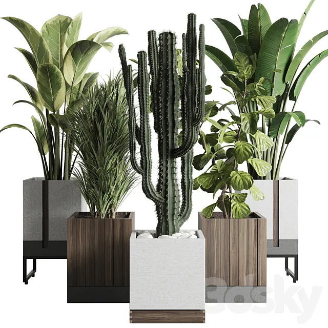 Plant box_Indoor outdoor plant 163 wooden and concrete dirt vase box pot palm cactus Collection 3DModel Plant box_Indoor outdoor plant 163 wooden and concrete dirt vase box pot palm cactus Collection 3DModel