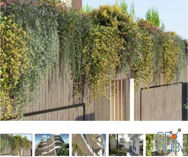 Plant Bundle 02 – Vines And Creepers