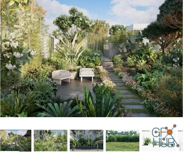 Plant Bundle 05 – Tropical Plants (3D Models)