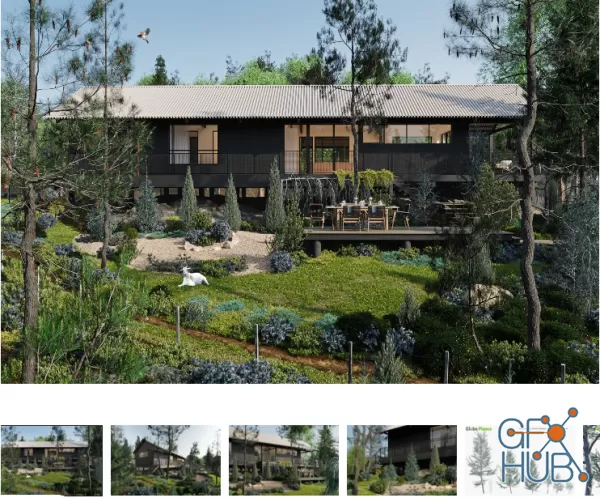 Plant Bundle 10 – Conifer Garden (3D Models)