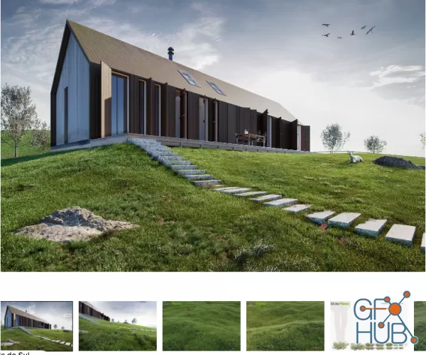 Plant Bundle 13 – Grass & Lawn (3D Models)