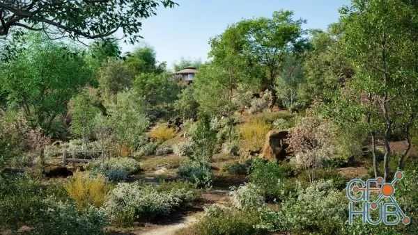 Plant Bundle 19 – Temperate Plants (3D Models)