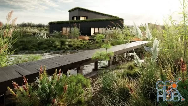 Plant Bundle 26 – Ornamental Grasses 02 (3D Models)