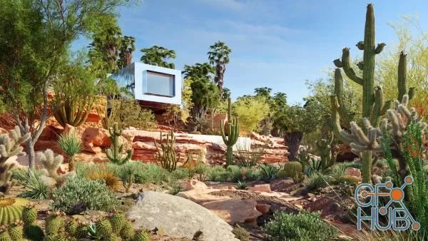 Plant Bundle 34 – Mexican Plants (3D Models)