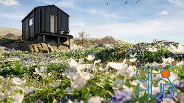 Plant Bundle 37 – Ground Cover Plants (3D Models)