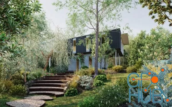 Plant Bundle 38 – Australian Home & Garden Plants 04