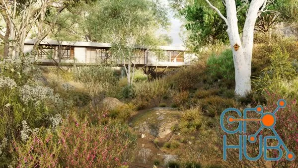 Plant Bundle 41 – Australian Wild Plants (3D Models)