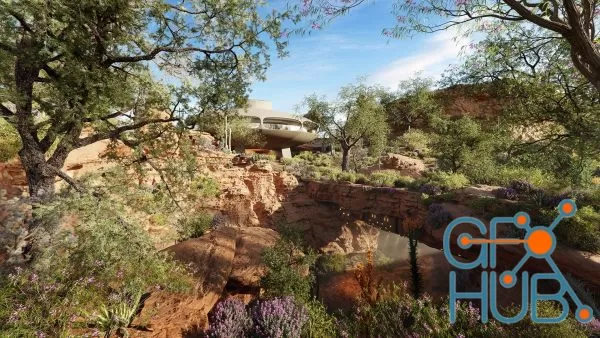 Plant Bundle 42 – Mexican Plants 02