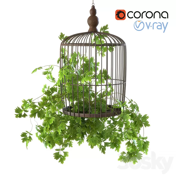 Plant cell 3D Model Plant cell 3D Model