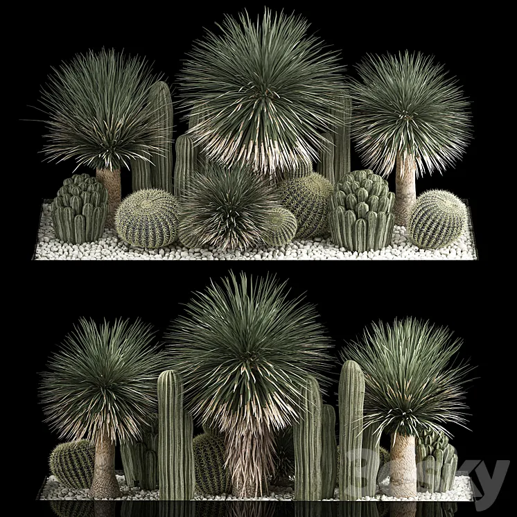 Plant collection 1116. Desert Plants Gravel Yucca Dracaena Pebble Cactus Garden Cereus Round Cactus Landscaping Barrel cactus 3D Model Free Download