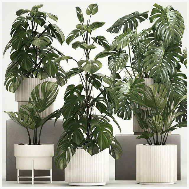 Plant collection 1213 3D Model