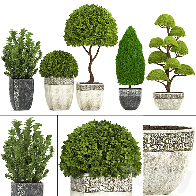 Plant collection 239. Garden plants landscape design classic flowerpot trees topiary boxwood 3D Model Plant collection 239. Garden plants landscape design classic flowerpot trees topiary boxwood 3D Model