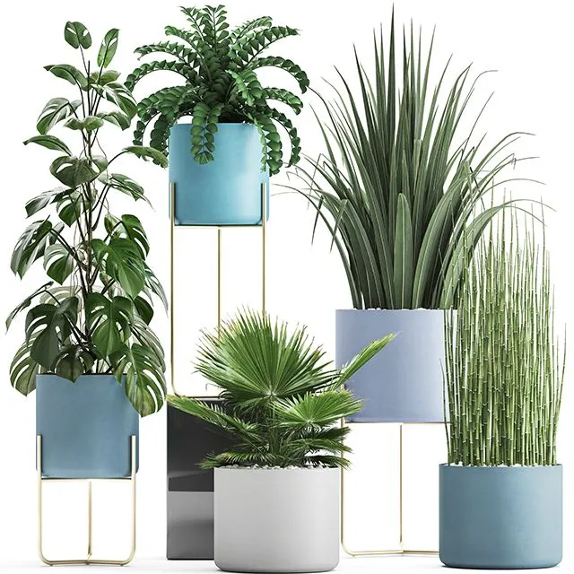 Plant collection 281 3D Model Plant collection 281 3D Model