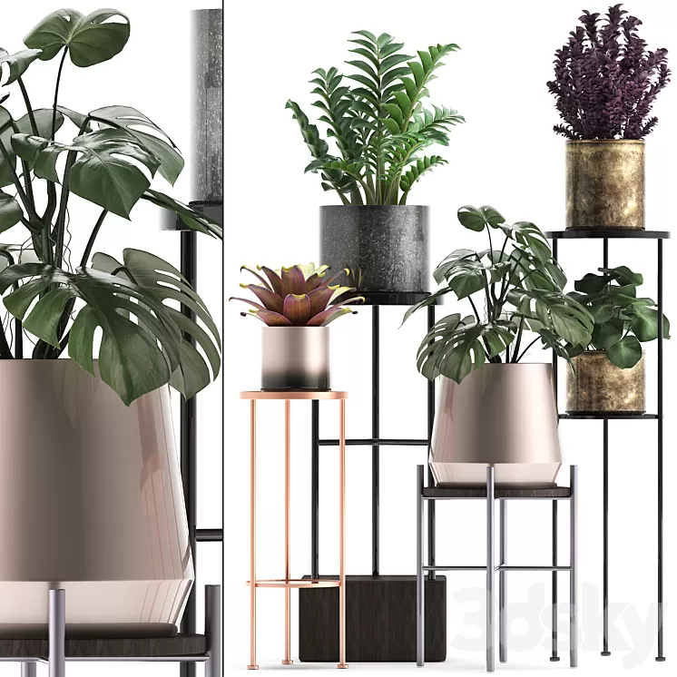 Plant collection 286. Flower shelf pot monstera bromeliad Zamioculcas luxury small plants stand 3D Model