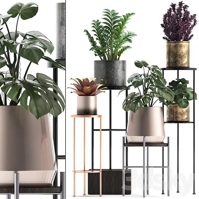 Plant collection 286. Flower shelf. pot. monstera. bromeliad. Zamioculcas. luxury. small plants. stand 3DModel Plant collection 286. Flower shelf. pot. monstera. bromeliad. Zamioculcas. luxury. small plants. stand 3DModel