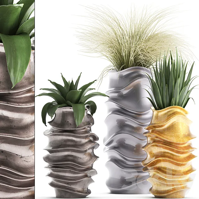 Plant collection 289. luxury flowerpot pot grass agave interior plants luxury decor 3D Model Plant collection 289. luxury flowerpot pot grass agave interior plants luxury decor 3D Model