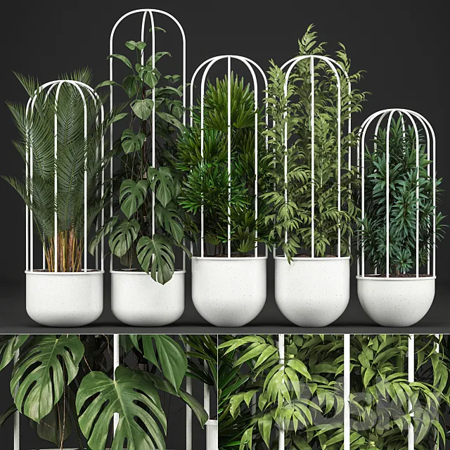 Plant collection 328. White pot. flowerpot. monstera. bamboo. dracaena. palm tree. indoor plants. Scandinavian style. metal flowerpot. bushes. thickets 3DModel Plant collection 328. White pot. flowerpot. monstera. bamboo. dracaena. palm tree. indoor plants. Scandinavian style. metal flowerpot. bushes. thickets 3DModel
