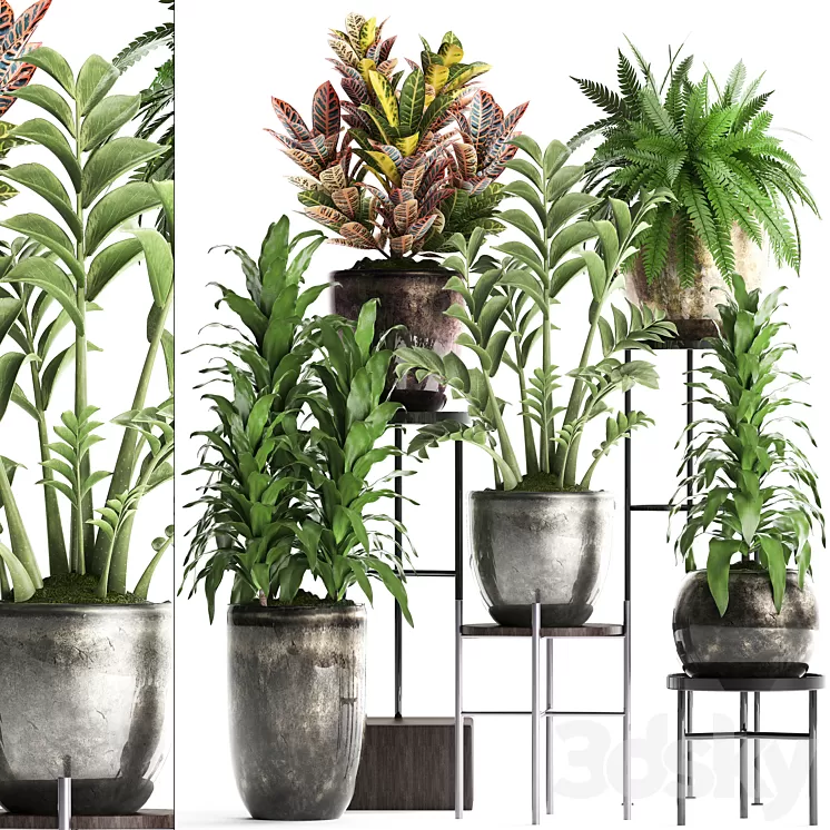 Plant Collection 362. luxury flowerpot croton fern Zamioculcas indoor plants luxury flowerpot flower stand interior 3D Model