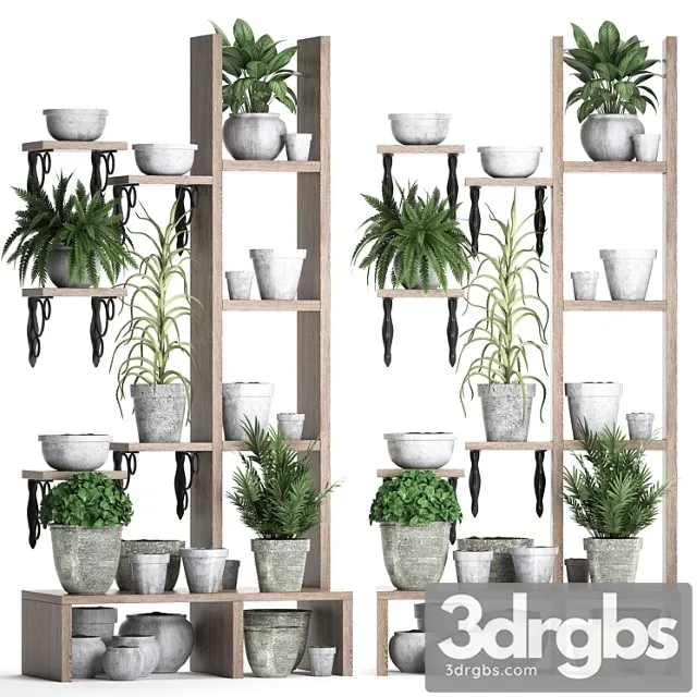 Plant collection 365. shelf with plants aloe flowerpot greenery vertical garden concrete eco design 2 3D Model Download Plant collection 365. shelf with plants aloe flowerpot greenery vertical garden concrete eco design 2 3D Model Download